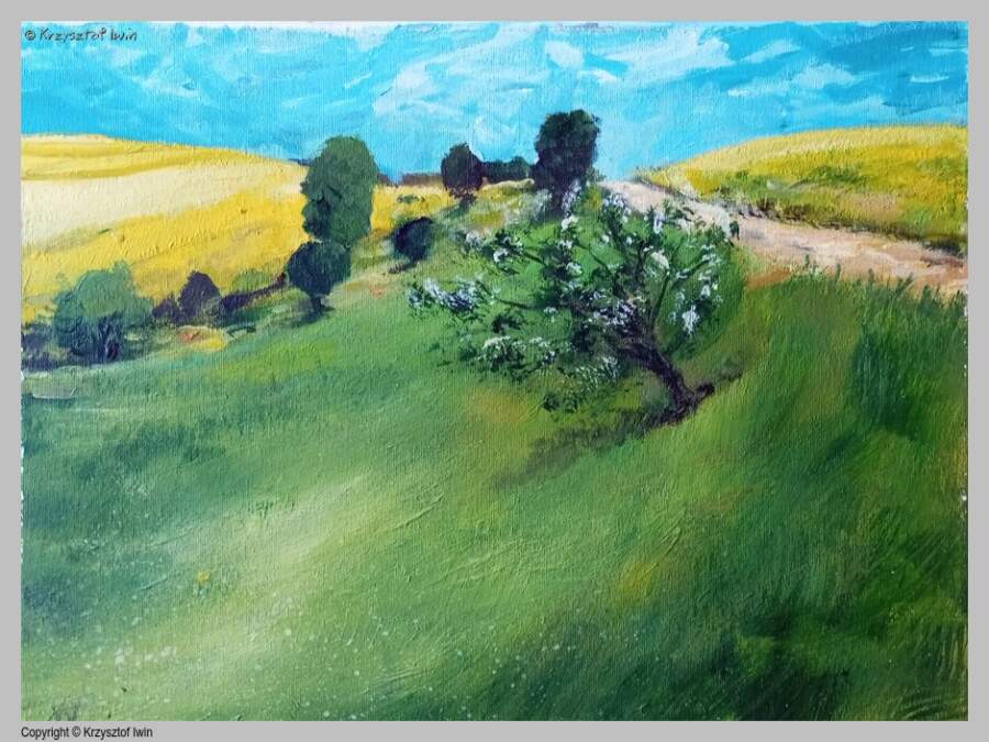 Jabłoń na stoku - akryl na płótnie, 40 x 30 cm, 2024 r.